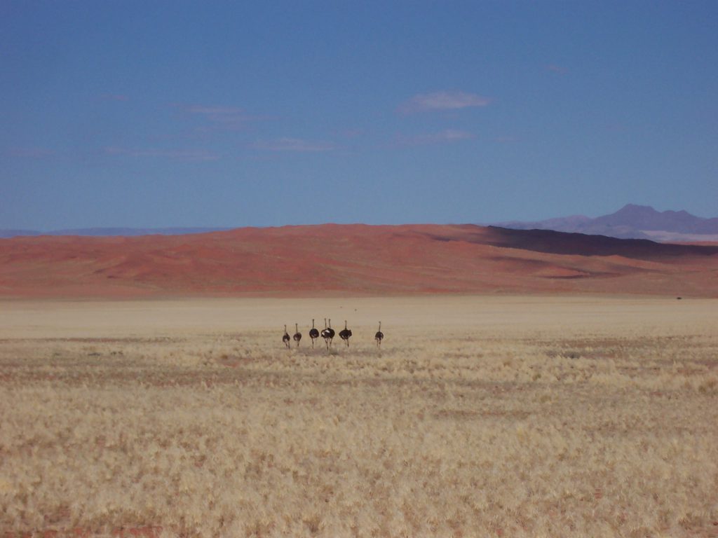 Namibia Zuiddam