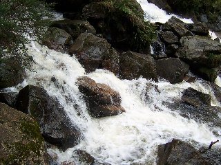 Zuiddam St Columba Falls021